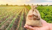 Проєкт держбюджету-2027: на земельну реформу виділять 145 мільйонів гривень