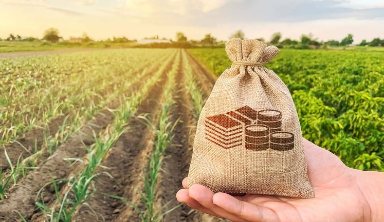 В уряді завили про стабілізацію ринку землі: ціни зростають залежно від безпекової ситуації