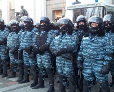 беркут