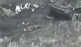 Wounded occupier on battlefield