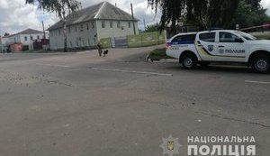 Житель Харьковщины "заминировал" местное отделение Пенсионного фонда, чтобы "проучить" сотрудников, - Нацполиция