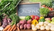 Україна гармонізує правила органічного виробництва з ЄС