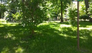 "Киевзеленбуд" запустил реестр зеленых зон коммунальной собственности