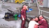 цнс
