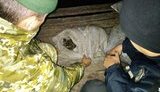 Браконьер на Херсонщине наловил рыбы и краснокнижных крабов на 5 млн грн, - Госпогранслужба. ВИДЕО+ФОТОрепортаж