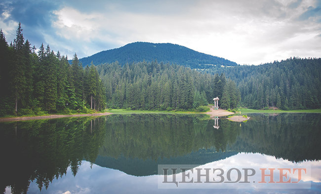 Смарагдові смереки, загадкові води, величезні гриби і врятовані ведмеді: літо на Синевирі 01