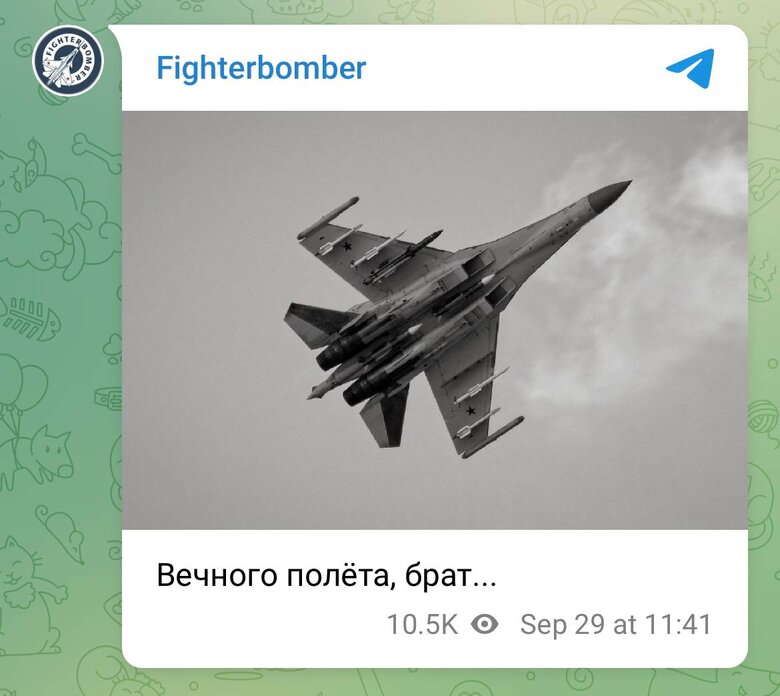 Оккупанты сбили свой самолет СУ-35 над Токмаком 01