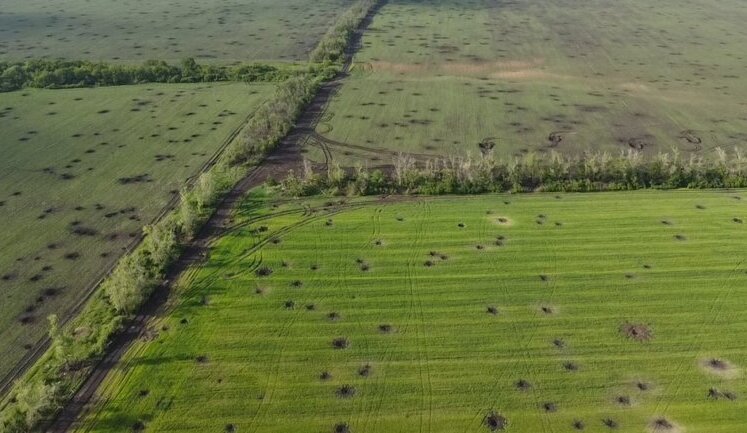 I assume that broad front line will become large exclusion zone for centuries, - ecologist Oleksii Vasyliuk