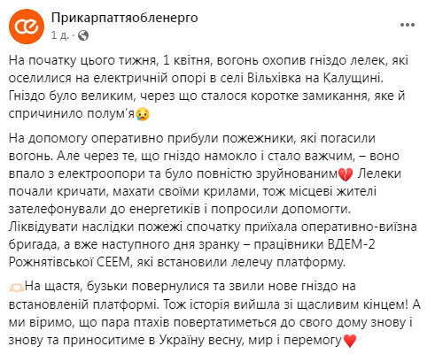 Прикарпаттяобленерго про відновлення гнізда лелек