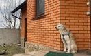 макарів