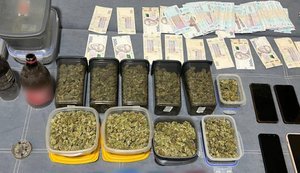 Полицейские Харьковщины разоблачили группу наркоторговцев и изъяли каннабис на сумму около 2,6 миллиона гривен. ФОТОРЕПОРТАЖ