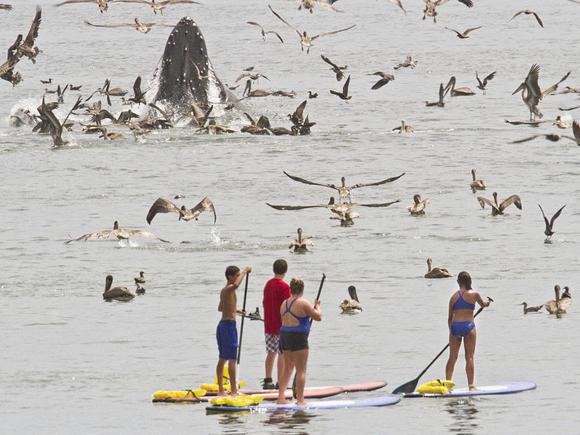 Цензор.НЕТ Изображение