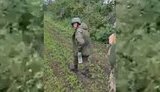 полонений