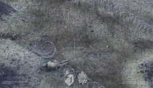 Окупант заплутався в колючому дроті, впав і забув свою зброю в траві. ВIДЕО