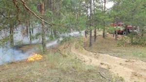 Синоптики прогнозують у Києві високу пожежну небезпеку до кінця місяця, - ДСНС
