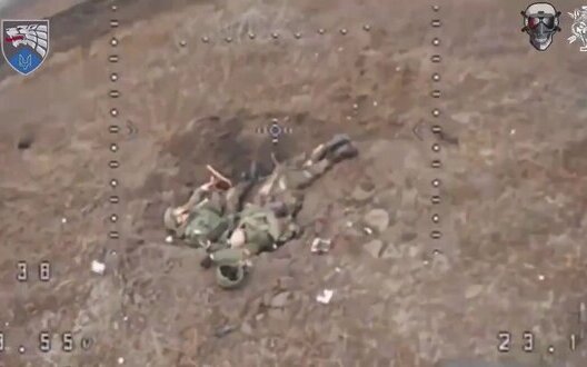 Exact arrival of kamikaze drone in ravine with Russian military in Donetsk direction.. VIDEO