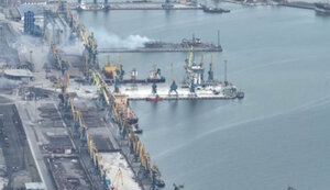 Эпидемия уже не просто угроза, а реальность: в акватории Азовского моря мариупольцы фиксируют начало мора рыбы. ФОТО