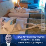 Сезон удался!