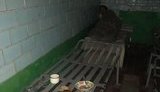 Співробітники вінницької колонії катували ув