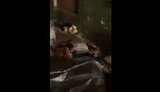 гостомель,вбивство