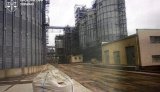 Grain fraud worth 63 million hryvnias