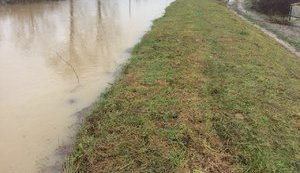 Вода из подтопленных на Закарпатье домов уже откачана, - Москаль