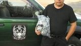 волонтер