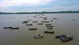 Понад півтисячі рибалок на човнах перекривали Дунай в Одеській області. ФОТОрепортаж