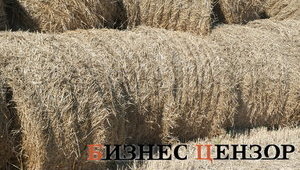 Кого представляют украинские аграрные ассоциации