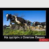 Электорат