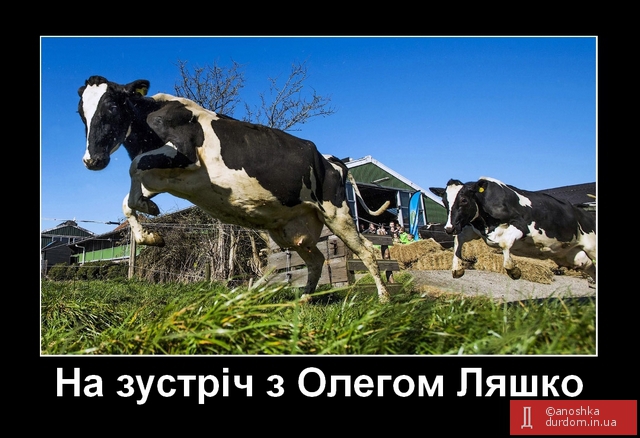 Электорат