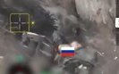 Wild pigs eating Russian