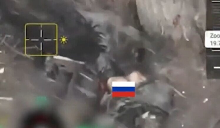 Group of wild pigs eating body of occupier in bushes on left bank of Kherson region. VIDEO