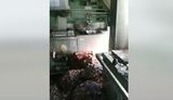 "Їжа завонялася, картопля згнила, огірки розбилися. От, рахіти", - українські бійці оглядають трофейну польову кухню російських окупантів. ВIДЕО