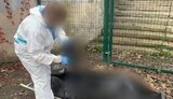 колона,розстріл