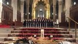 голодомор сша чалый