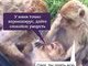 Спите спокойно, жители Багдада!