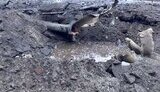 харків