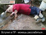 Жизнь прекрасна...
