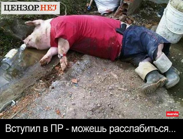 Жизнь прекрасна...