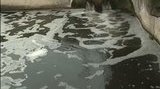 Луганский водоканал собирает “налог на дождь и снег”. ВИДЕО