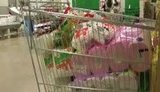 супермаркет