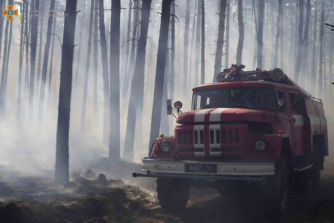 Лісову пожежу ліквідують на Луганщині, - ДСНС 01