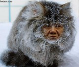 Таити, Таити... Нас и здесь неплохо кормят!))