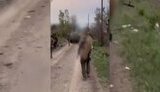 бійці