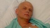 литвиненко,александр