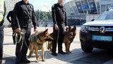 За полгода служебные собаки помогли полицейским раскрыть 6 тыс. преступлений, обнаружить около 35 кг взрывчатки и 57 кг наркотиков, - НПУ. ФОТОрепортаж