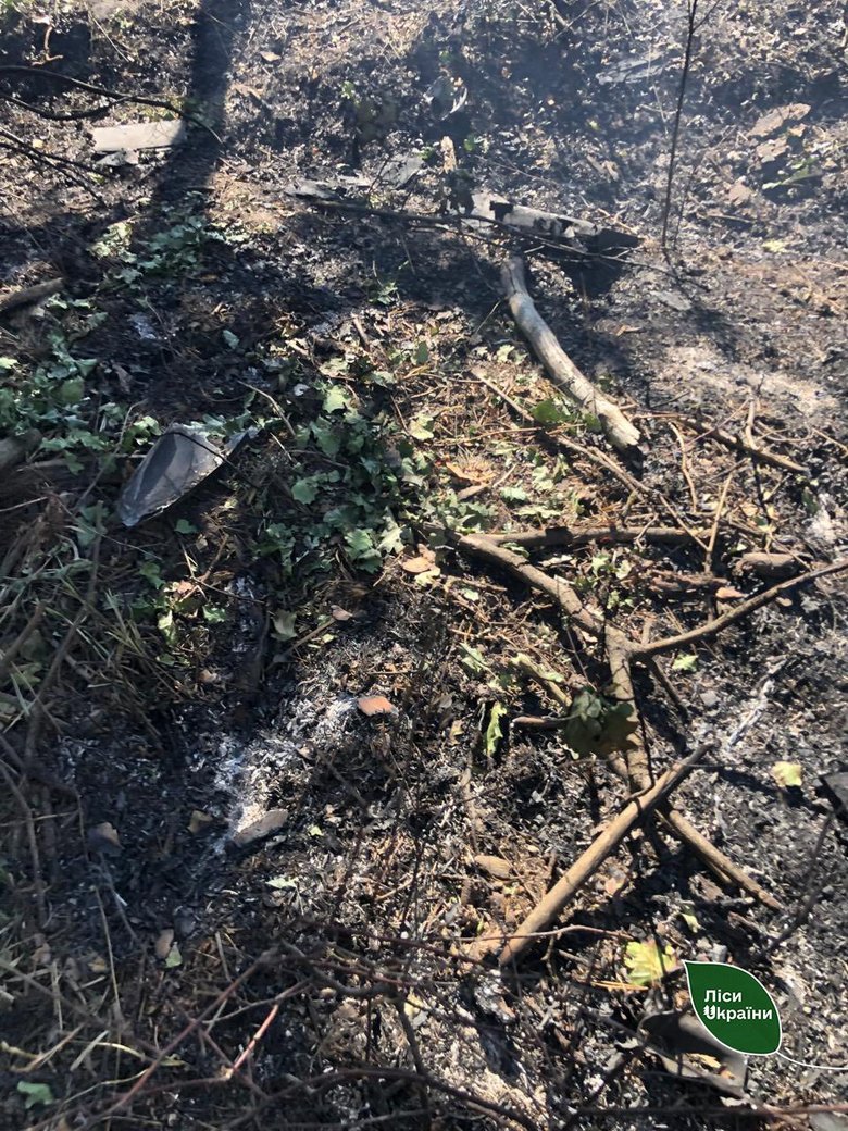 На Київщині та Житомирщині пожежі в лісах через уламки дронів