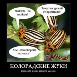 Великая миссия