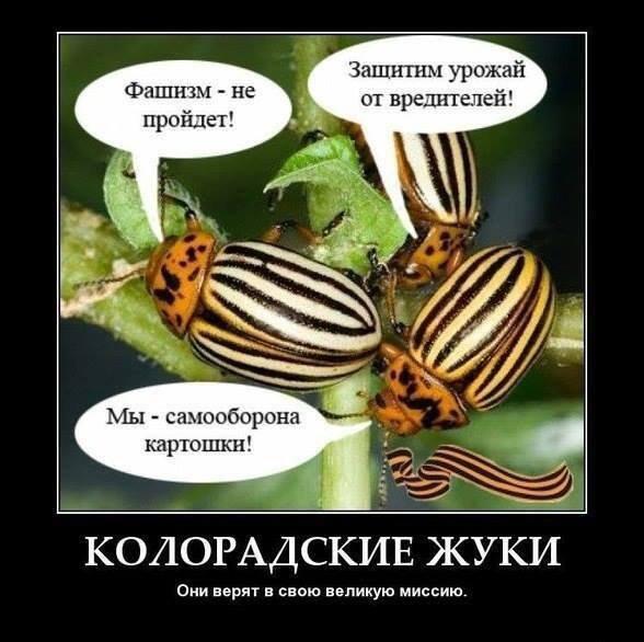 Великая миссия